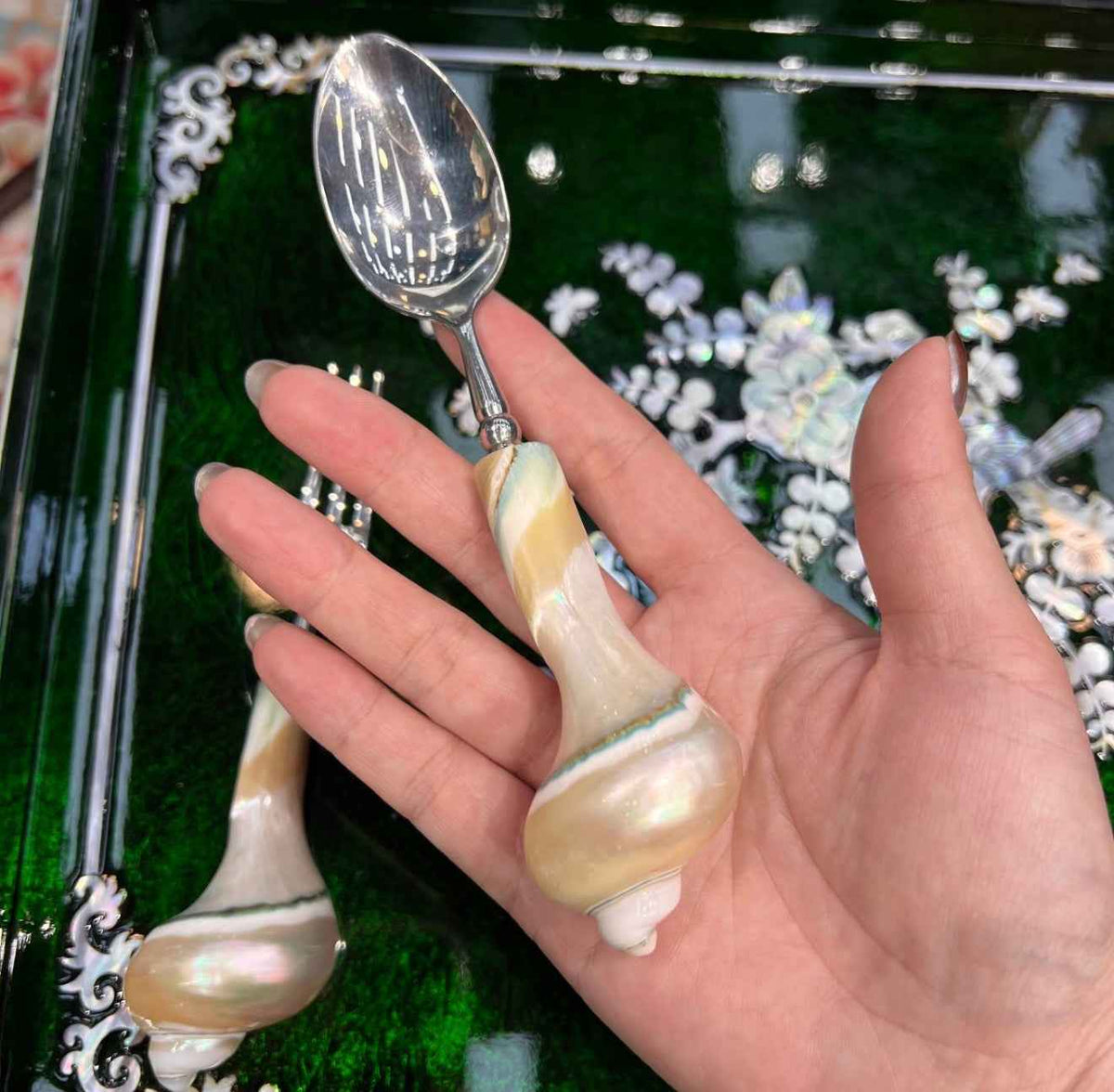 Hand holding a spoon with an iridescent conch shell handle