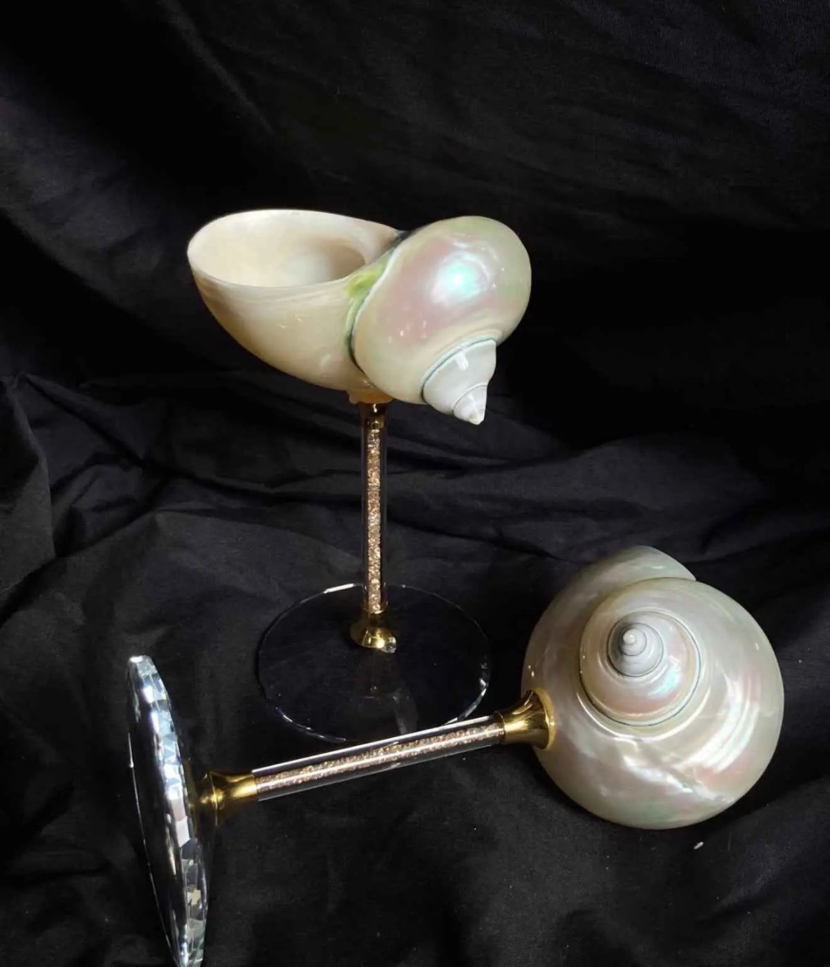 Two white shell goblets displayed against black fabric
