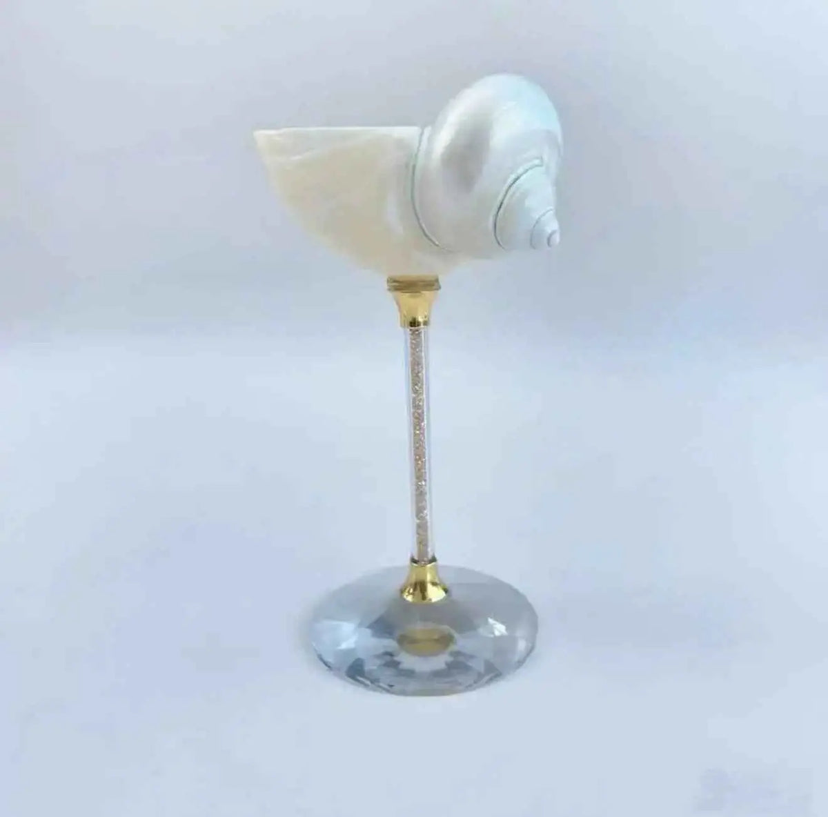 White spiral shell wine goblet displayed upright