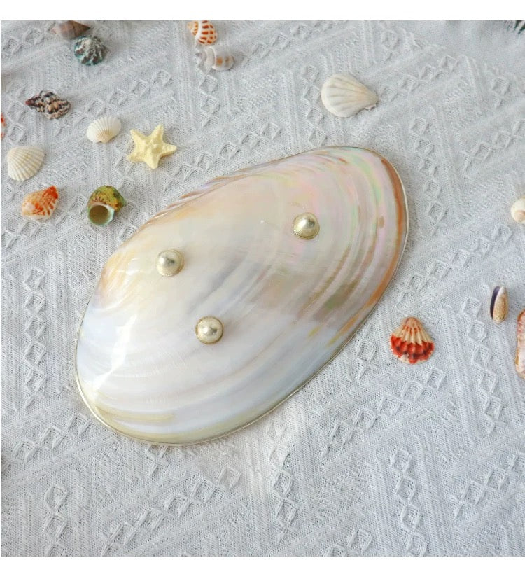 Peach Silver Copper Trim Symbol of Immortality and Wealth Dish Seashell Dish  Natural Large Deep-Sea shell Plate  & Carvings Shell