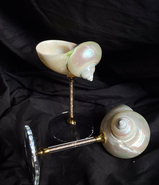 "Magnificent Conch" Deep-Sea Shell Handmade Wine Glass | Decorative Ornament