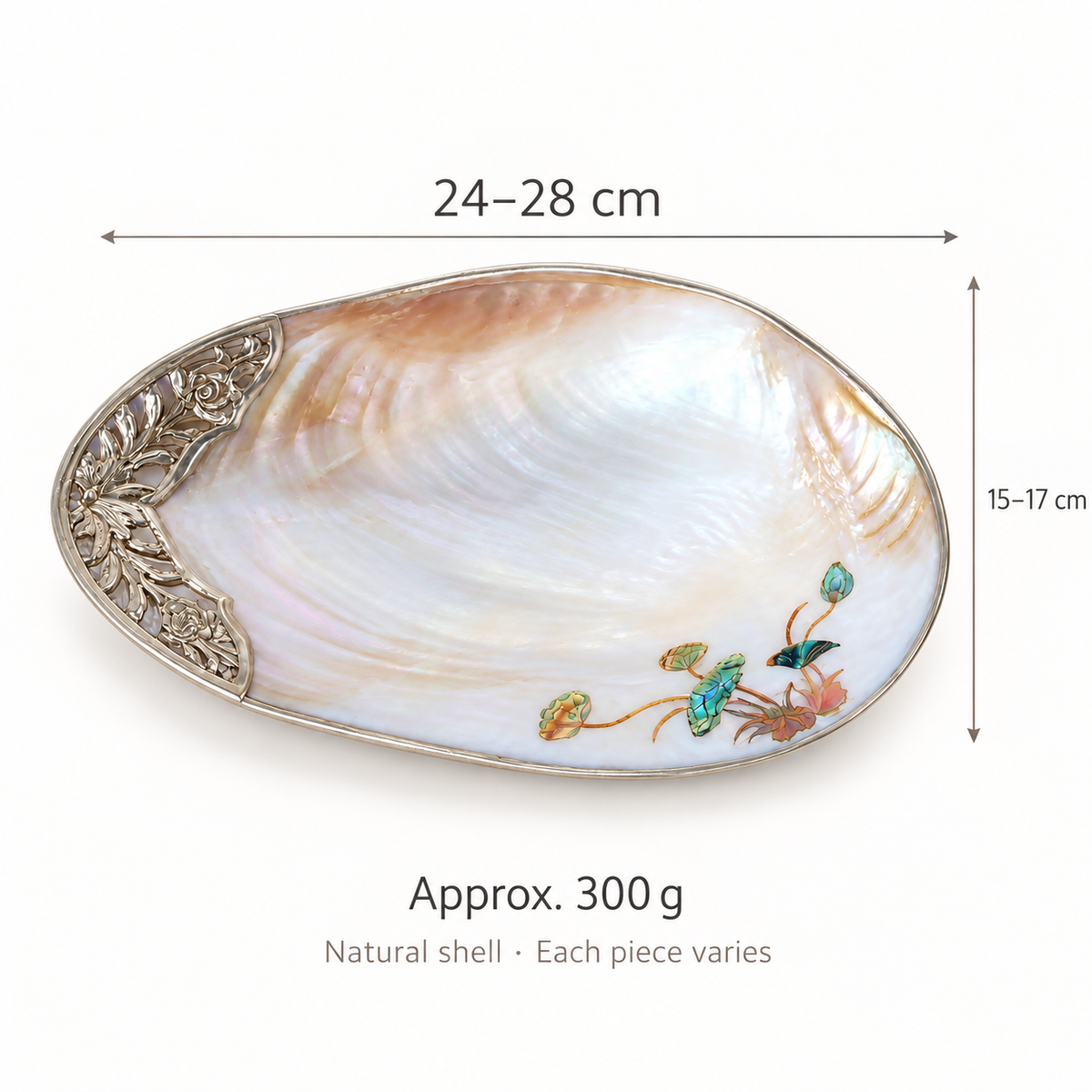 Shell tray size guide: 24–28 cm long, 15–17 cm wide, approximately 300 g; natural variations occur
